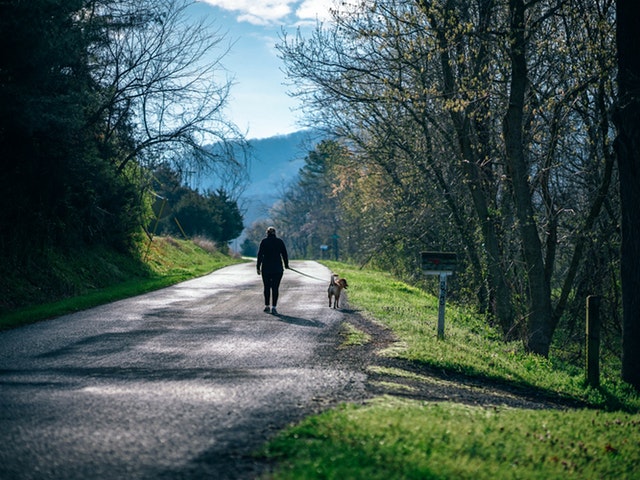 Promenader – livsviktig motion